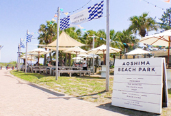Aoshima Beach Park