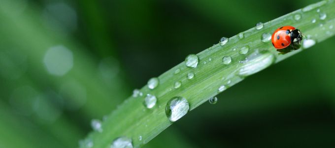 不倫相手と雨の日デート！オススメのスポットについて
イメージ1