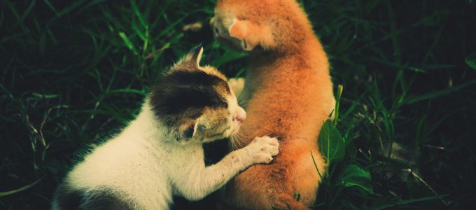 幸せな結婚を掴むには？結婚相手の男性を見極めるポイント4つイメージ5