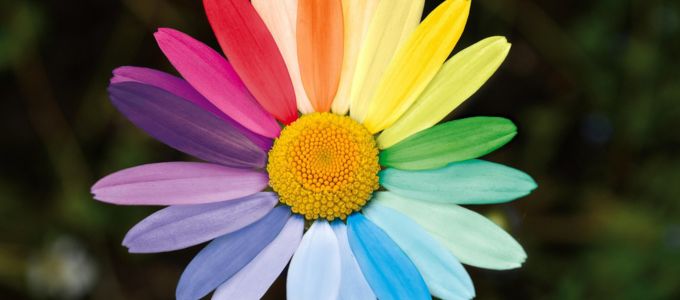 結婚生活の楽しみ方　お互いを尊重しあうために必要なことイメージ8