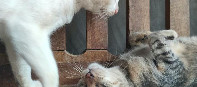 意見がすれ違ってしまったときはイメージ1