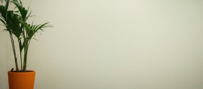 年上女性とデートをする時に意識している４つのことイメージ4