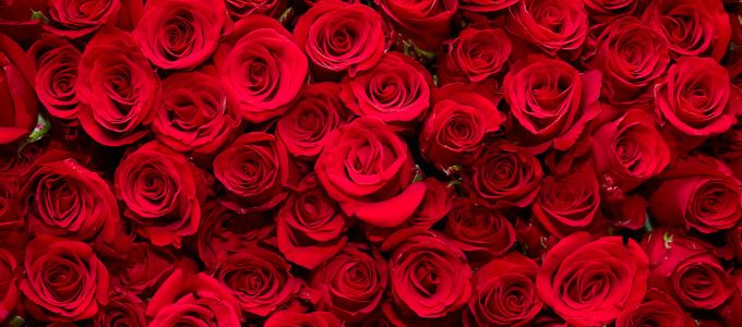 会員制の高級交際クラブとは？イメージ2