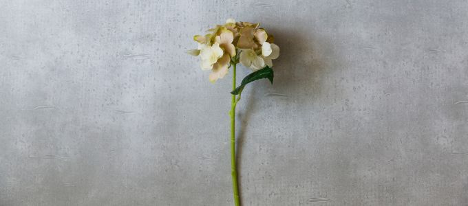 交際クラブ デートクラブ 女性面接 合格イメージ8